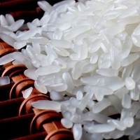 廠(chǎng)家直銷(xiāo)東北大米50斤【新米】批發(fā)零售金貝河長(zhǎng)粒香稻香米