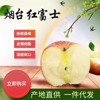 煙臺(tái)紅富士一件代發(fā) 產(chǎn)地現(xiàn)貨煙臺(tái)紅富士脆甜多汁蘋(píng)果