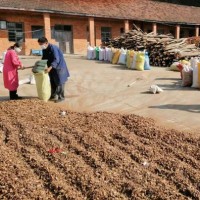廠家批發湖北隨州油茶籽殼、茶粕、現貨量大從優