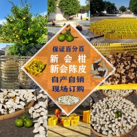 正宗新會(huì)柑、新會(huì)陳皮批發(fā)