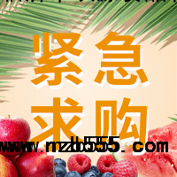 采購(gòu)金煌芒果苗
