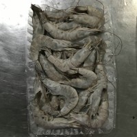 加工南美白對蝦，冷凍南美白對蝦，唐山南美白對蝦，天津南美蝦