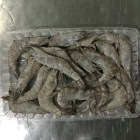 冷凍南美白對蝦，加工南美白對蝦，河北南美白對蝦，唐山南美對蝦