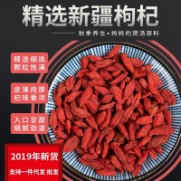 新疆紅枸杞精河紅枸杞子 大顆粒新貨泡酒料產地直發(fā)500g批發(fā)