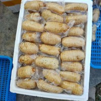 鮮天麻真空保鮮天麻一個一袋，酒店冰鎮(zhèn)天麻片，天麻食材長年供應