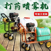 批發(fā)汽油打藥噴霧機(jī) 手推養(yǎng)殖場(chǎng)消毒噴藥機(jī)小型園林高壓噴藥車(chē)