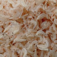 廠家直供天然烘干蝦皮 海味產(chǎn)品 流水線小蝦皮，【新品上市】