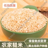 當季新米東北現(xiàn)磨糙米粗糧餐低脂批發(fā)廠家直發(fā)支持代發(fā)糙米飯5斤